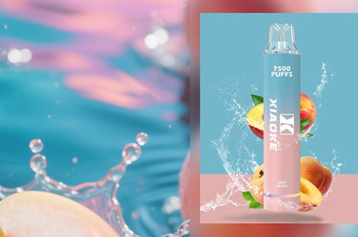 SP2電子煙能用快充嗎—sp2s電子煙可以用1代煙彈嗎